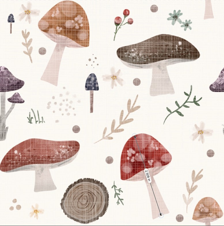 Mushrooms / Champignons (2.5