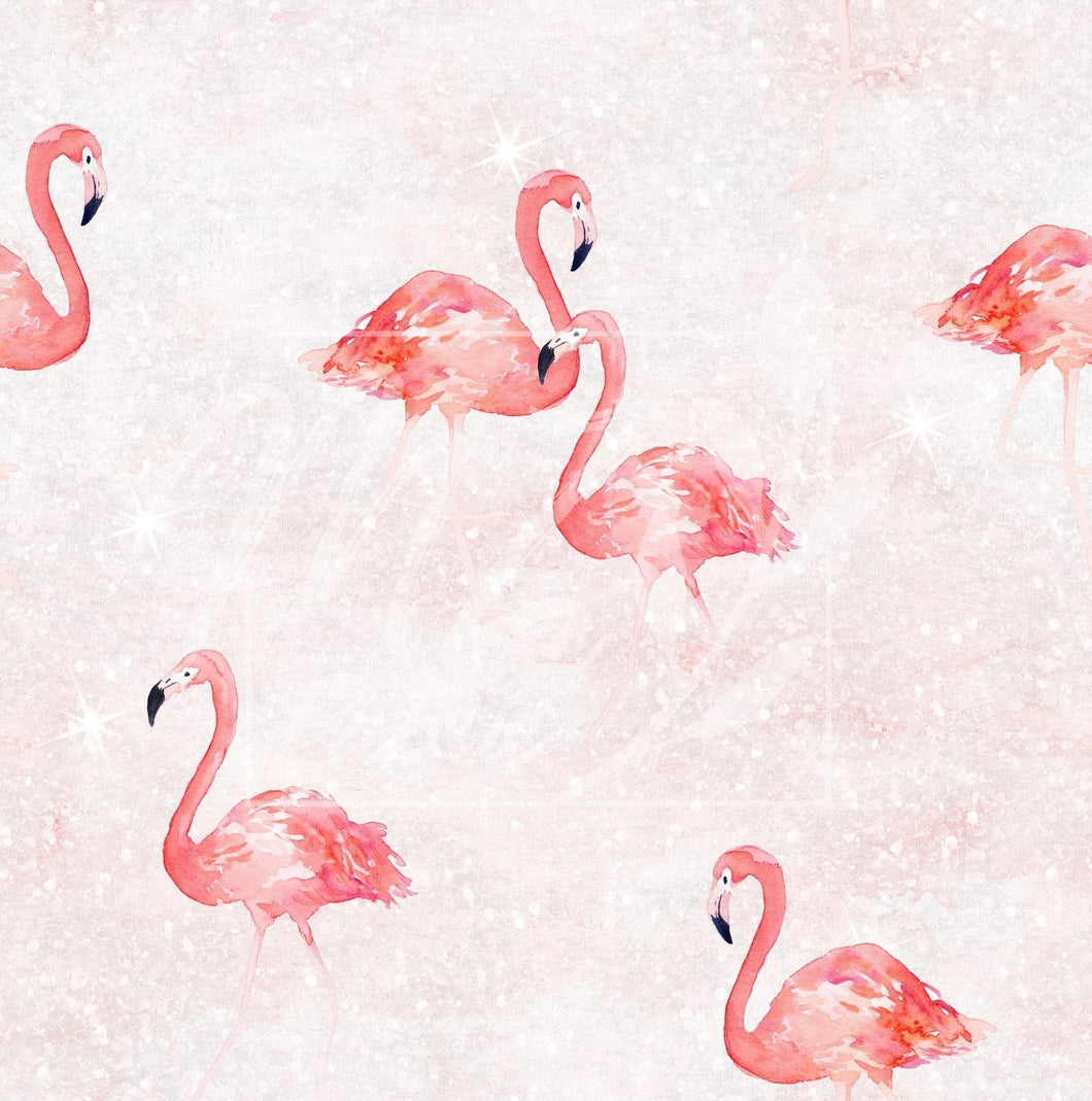 Flamingos / Flamants roses