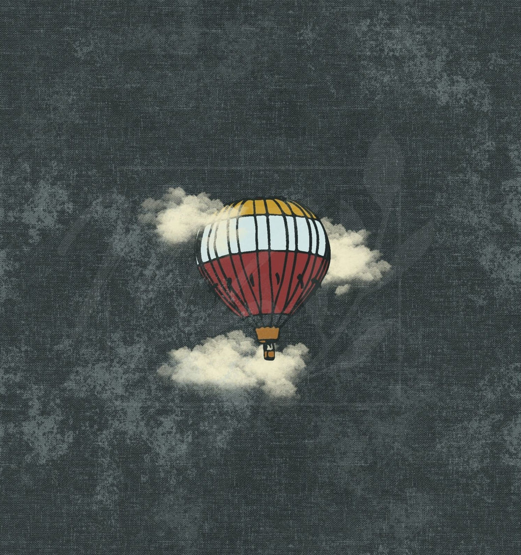 Hot air balloon panel / Panneau montgolfière